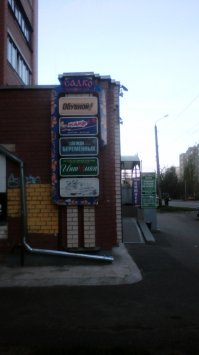 Эволюция