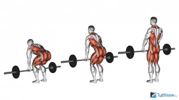 Очевидно что автор данного бояна не в курсе какие мышцы работают при становой, и вывесил фото как 48 летний Хью Джекман делает становую тягу, и при этом говорит что он дескать не делает ноги) А ничего что у него вес штанги с блинами около 150-160кг? :) 
Але, становая тяга весьма не плохо прорабатывает заднюю поверхность ног, посмотрите на схему какие мышцы задействованы. :)