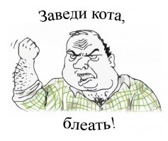 Такого количества крыс в одном месте вы еще не видели