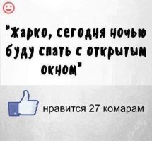 Ночевка в лесу для начинающих