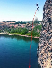 Они достойны премии Дарвина