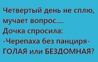 Коллекция прикольных картинок