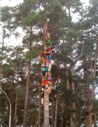 Заречный, общага.