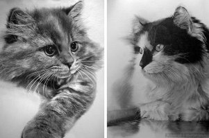 ещё очень нравятся картины Paul Lung, правда он работает карандашом 
тут еще галереи