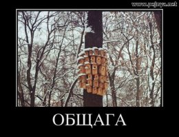 Жилые дома на отвесных скалах