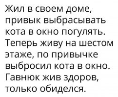 У меня кошка сама несколько раз прыгала с балкона(4 этаж) и ничего. Только один раз вернулась,чуть прихрамывая.
