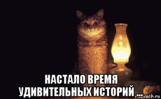 15 пугающих историй о встрече с призраками на круизных суднах