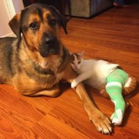 Все таки доигрались