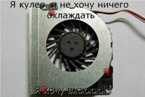 Немного из моей подборки)