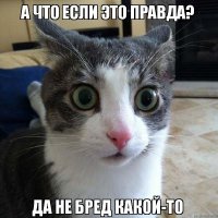 Лечите голову