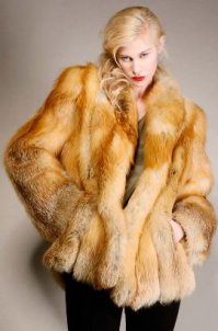 "Мы взяли ее с пушной фермы"
Повезло Патрикеевне.
А ведь могла бы радовать собой какую-нибудь ТП.