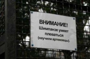 Гифки дня