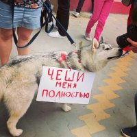 Прикольные надписи и объявления