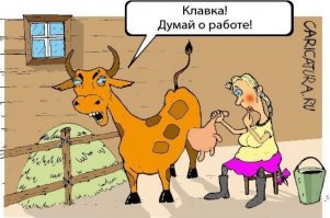 Коллекция прикольных картинок