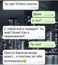 20 убойных СМС, Которые cделают ваш день