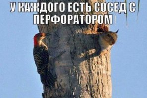Тот случай, когда соседи затеяли ремонт
