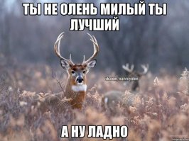 Брось ее, мы тебе хорошую жену найдем!