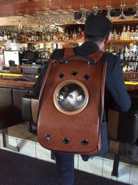 А вот видео с ним.