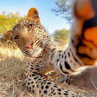 не грусти. разбанят