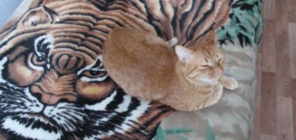 При плохом освещении как бы не наступить на них при таком камуфляже, если будут лежать на полу.
На своего кота так в впотьмах несколько раз чуть не сел.