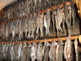 Несколько способов охладиться в жару