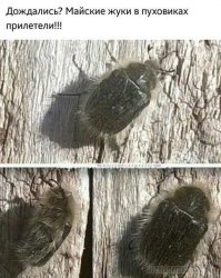 Лето будет жарким , но коротким. Главное не пропустить этот день!