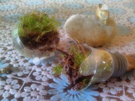 Закончилось попыткой сестры "стереть пыль" спустя 4 месяца(((