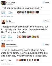 С этой гориллой - Харамбе, связан интересный случай. После этого инцидента на Facebook и Twitter появилась куча расистских комментов от афроамериканцев о том, что белые матери ни на что не способны и что конечно же никто не стал бы стрелять в гориллу если бы в вольер упал бы черный ребенок. Потом, правда, все эти черные расисты сильно обоср@лись, потому что ребенок был как раз черным.