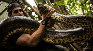 Обязательно! Перед сном...