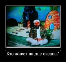 Кто живёт на дне Тихого океана: снимки, сделанные глубоководным аппаратом
