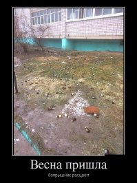 Самые странные находки из-под снега