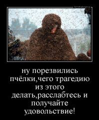 Огромный рой пчел атаковал пригород Лондона