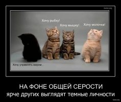 Осторожно: эти животные опасны и вызывают приступ безудержного умиления