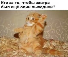 Ее дразнили за цвет кожи, а она в свои 10 лет запустила собственную линию одежды