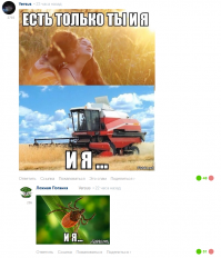 Про клещей и энцефалит