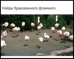 бракованного?

Я двух нашёл!