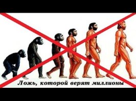 Начало жизни: от зачатия до рождения