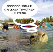 Мы не одиноки: открытие дельфиньего языка