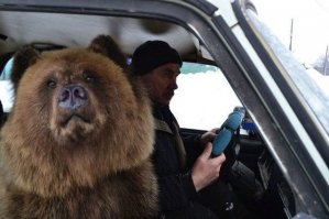 а тем временем ....