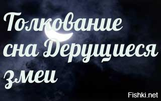 К чему снится драться во сне женщине. Сонник-толкование снов драка.