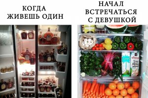 С таким холодильником девушка нах.уй не нужна