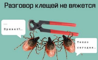 Про клещей и энцефалит