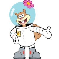 Кто живёт на дне Тихого океана: снимки, сделанные глубоководным аппаратом