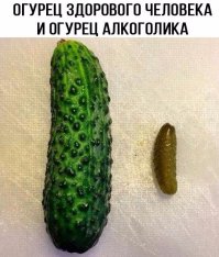 Смешные комментарии и высказывания из социальных сетей