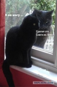 Смешные комментарии и высказывания из социальных сетей