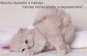 Осторожно: эти животные опасны и вызывают приступ безудержного умиления