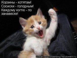 Осторожно: эти животные опасны и вызывают приступ безудержного умиления