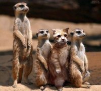 Найди, что не так на этих фото