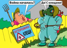Про клещей и энцефалит