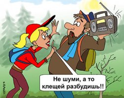 Про клещей и энцефалит